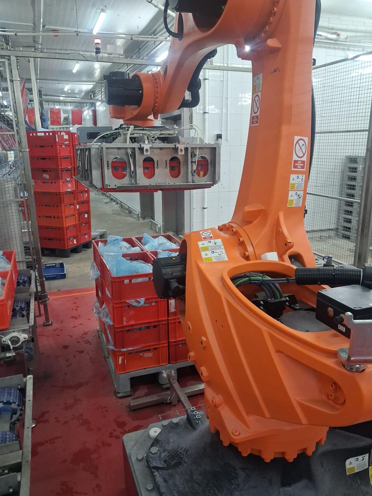 Robotyzacja i automatyzacja